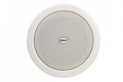 WA111 Ceiling Speaker