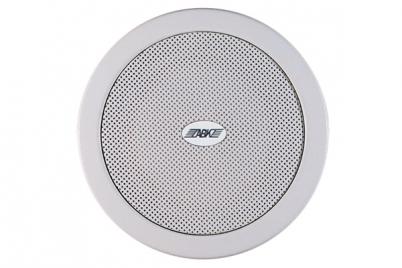 WA112 Ceiling Speaker