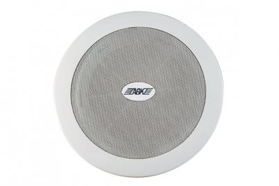 WA122 Ceiling Speaker