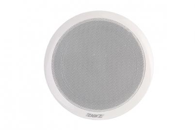 WA124 Ceiling Speaker