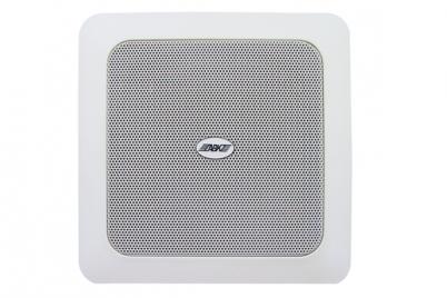 WA131 Ceiling Speaker