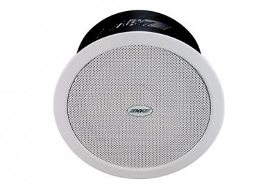 WA222 Ceiling Speaker