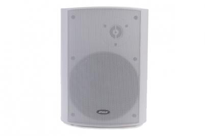 WL313 40W Wall Mount Speaker