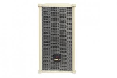 WS481 Wall mounted Speaker