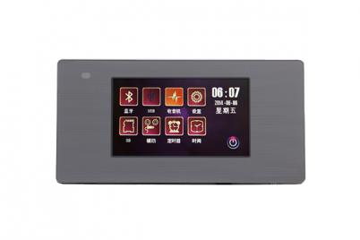 DM836S Intelligent Home Central Audio Host