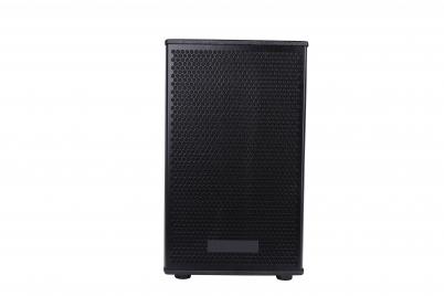 D6565 350W Professional Two Way Loudspeaker