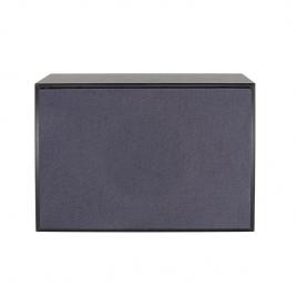 WL366II  Wall Mount Speaker